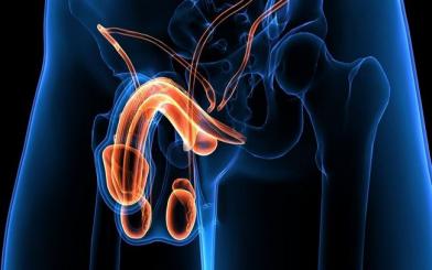 Viêm tinh hoàn biểu hiện như thế nào?