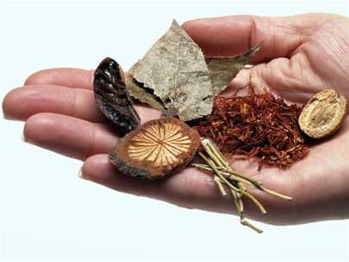 Bài thuốc chữa bệnh viêm tinh hoàn