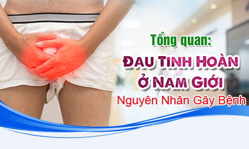 Bệnh đau tinh hoàn ở nam giới do nhiều nguyên nhân gây ra