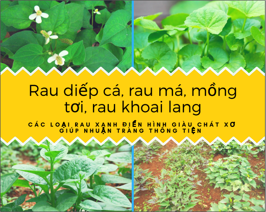 Cách chữa đại tiện ra máu ở hậu môn