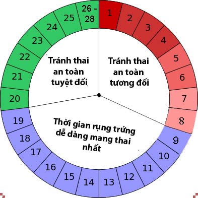 Chu kì kinh nguyệt