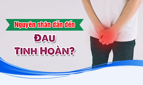 Nguyên nhân dẫn đến đau tinh hoàn ở nam giới
