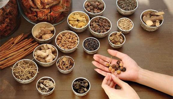 Thuốc nam chữa viêm mào tinh hoàn